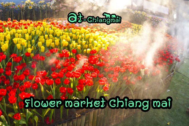 Flower market Chiang mai