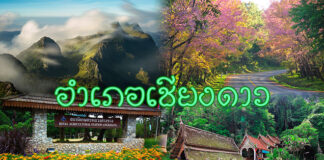 อำเภอเชียงดาว