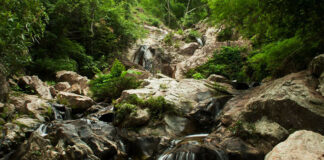 น้ำตกห้วยป่าพลู