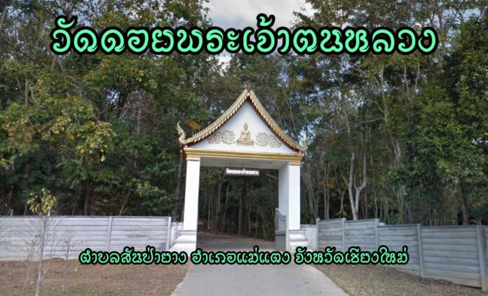 วัดดอยพระเจ้าตนหลวง ตำบลสันป่ายาง อำเภอแม่แตง จังหวัดเชียงใหม่
