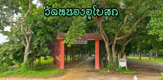 วัดหนองอุโบสถ ตำบลป่าไผ่ อำเภอสันทราย วัดหนองอุโบสถ ตำบลป่าไผ่ อำเภอสันทราย จังหวัดเชียงใหม่