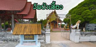 วัดป่าเสี้ยว ตำบลเวียง อำเภอพร้าว วัดป่าเสี้ยว ตำบลเวียง อำเภอพร้าว จังหวัดเชียงใหม่