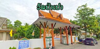 วัดป่าเปา ตำบลแช่ช้าง อำเภอสันกำแพง วัดป่าเปา ตำบลแช่ช้าง อำเภอสันกำแพง จังหวัดเชียงใหม่