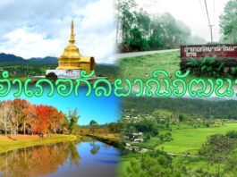 อำเภอกัลยาณิวัฒนา