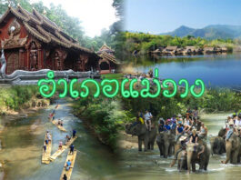 อำเภอแม่วาง