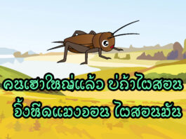 คนเฮาใหญ่แล้ว บ่ถ้าไผสอน จิ้งหีดแมงจอน ไผสอนมันเต้น คนเฮาใหญ่แล้ว บ่ถ้าไผสอน จิ้งหีดแมงจอน ไผสอนมันเต้น