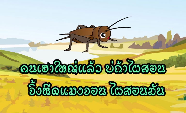 คนเฮาใหญ่แล้ว บ่ถ้าไผสอน จิ้งหีดแมงจอน ไผสอนมันเต้น