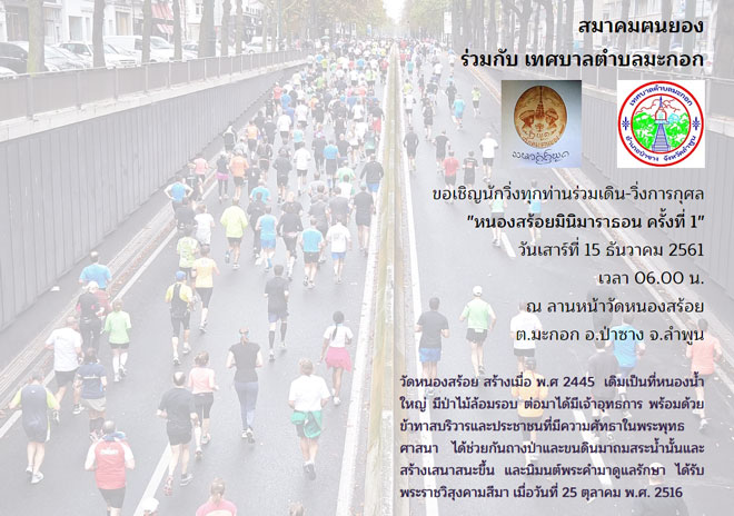 หนองสร้อยมินิมาราธอน ครั้งที่ 1