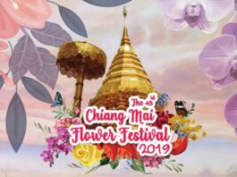 งานมหกรรมไม้ดอกไม้ประดับ จังหวัดเชียงใหม่ มหกรรมไม้ดอกไม้ประดับ จังหวัดเชียงใหม่ Chiang Mai Flower Festival