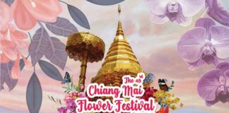 งานมหกรรมไม้ดอกไม้ประดับ จังหวัดเชียงใหม่ มหกรรมไม้ดอกไม้ประดับ จังหวัดเชียงใหม่ Chiang Mai Flower Festival