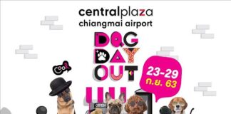 Dog Day Out – 23-29 กันยายน 2563 🐶 ชวนชาวเหนือ พาน้องหมาออกมาเที่ยวแบบสุดชิค เดินชิลล์ไปด้วยกันกับงาน “Dog Day Out” 🐶 📆 วันที่ 23-29 ก.ย. 63 นี้ ศูนย์การค้าเซ็นทรัล พลาซา เชียงใหม่ แอร์พอร์ต