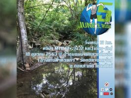 Jungle Rush 5 ผจญไพร – 18 ตุลาคม 2563 งานวิ่งเทรล และทวิปั่น Jungle Rush 5 ผจญไพร วันอาทิตย์ที่ 18 ตุลาคม 2563 ณ ป่าชุมชนบ้านตลาดขี้เหล็ก