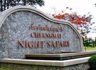 เชียงใหม่ไนท์ซาฟารี เชียงใหม่ไนท์ซาฟารี สวนสัตว์กลางคืนแห่งแรกในประเทศไทย และถือเป็นสวนสัตว์กลางคืนที่ใหญ่ที่สุดในโลก