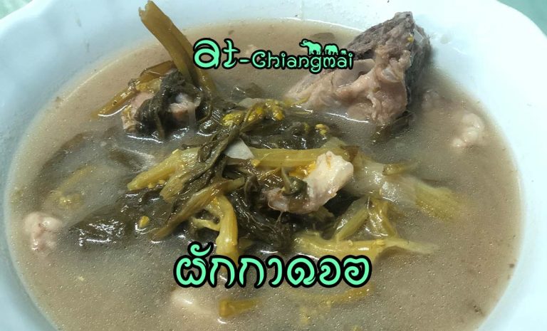 ผักกาดจอ หรือ จอผักกาด วัตถุดิบส่วนประกอบที่สำคัญที่สุดก็คือ ผักกาดจ้อน หรือ ผักกาดกวางตุ้ง