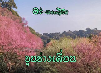 ขุนช่างเคี่ยน ขุนช่างเคี่ยน เชียงใหม่