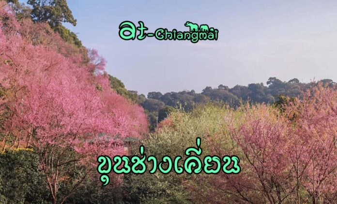 ขุนช่างเคี่ยน เชียงใหม่