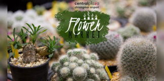 Flower Market วันนี้ -24 กุมภาพันธ์ 64 🌼Flower Market🌸เอาใจคนรัก #ดอกไม้ เตรียมพบกับ ไม้ดอก ไม้ประดับ วันนี้ -24 กุมภาพันธ์ 64 ณ ลานกิจกรรมชั้น G ศูนย์การค้าเซ็นทรัลพลาซา เชียงใหม่ แอร์พอร์ต