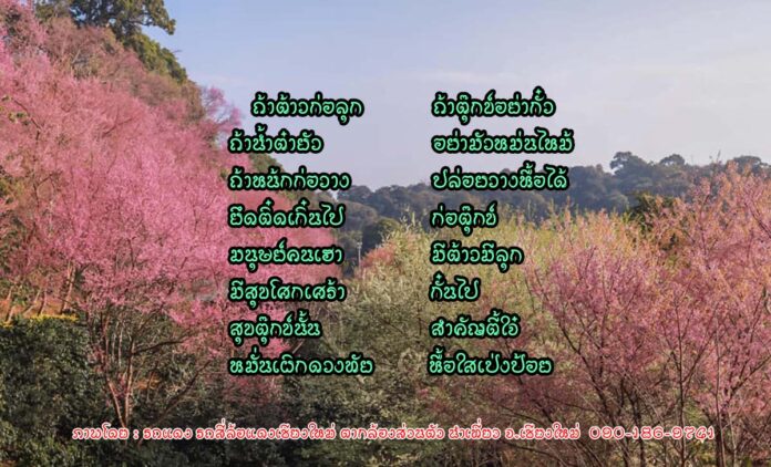 ถ้าต้าวก่อลุก ถ้าตุ๊กข์อย่ากั๋ว ถ้าน้ำต๋ายัว อย่ามัวหม่นไหม้ ถ้าหน้กก่อวาง ปล่อยวางหื้อได้ ยึดติ๋ดเกิ๋นไป ก่อตุ๊กข์