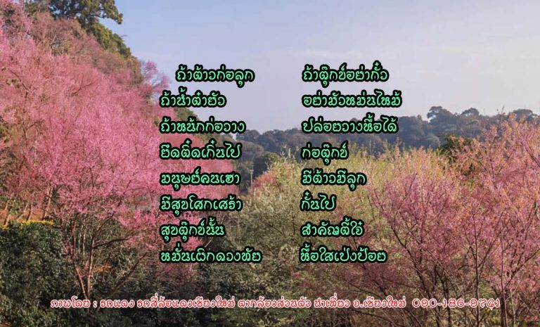 ถ้าต้าวก่อลุก ถ้าตุ๊กข์อย่ากั๋ว ถ้าน้ำต๋ายัว อย่ามัวหม่นไหม้ ถ้าหน้กก่อวาง ปล่อยวางหื้อได้ ยึดติ๋ดเกิ๋นไป ก่อตุ๊กข์
