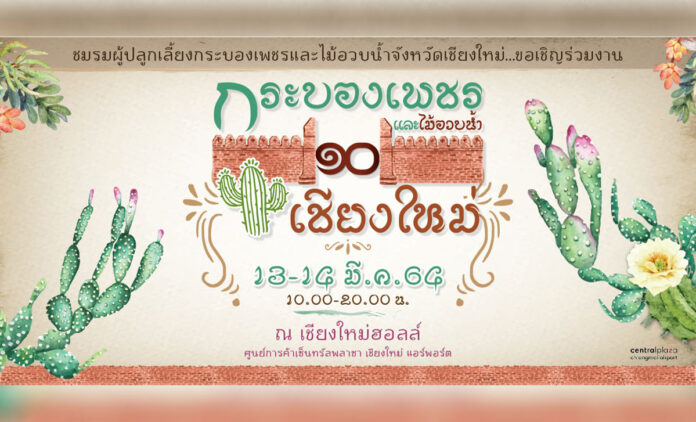 กระบองเพชร และไม้อวบน้ำ เชียงใหม่ ครั้งที่ 10 ณ เชียงใหม่ฮอลล์ ศูนย์การค้าเซ็นทรัลพลาซา เชียงใหม่ แอร์พอร์ต เวลา 10.00-21.00 น. วันที่ 13-14 มีนาคม 2564