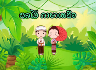 ผลไม้ ภาษาเหนือ ภาษากำเมือง พืช ผัก ผลไม้ ภาษาเหนือ ภาษากำเมือง