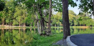 Art Afternoon Drawing Painting Plein Air Art Afternoon Drawing Painting Plein Air on Wednesday 9 June 2021 Time 16.00-18.00 at CMU coffee