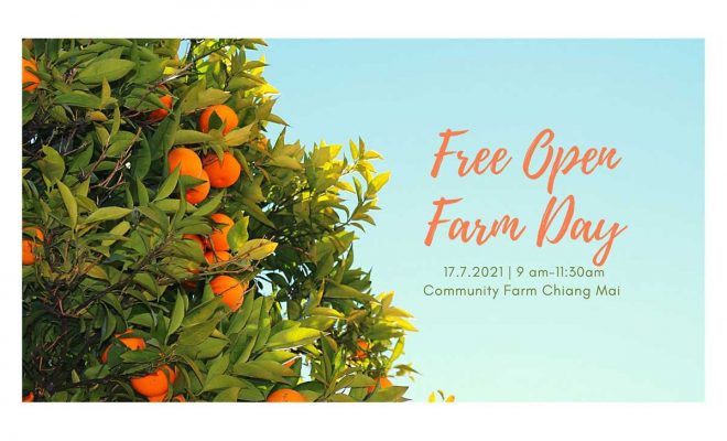 Free Open Farm Day 3 วันเสาร์ที่ 17 กรกฏาคม 2564 เวลา 9 โมงเช้า ณ Maruchu Bussan Co, Ltd.