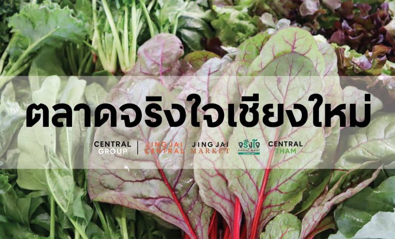 ตลาดจริงใจ” หรือ “จริงใจ มาร์เก็ต” ตลาดเกษตรอินทรีย์แห่งแรกของกลุ่มเซ็นทรัล ภายในโครงการจริงใจมาร์เก็ตเชียงใหม่ ตลาดนัดยามเช้าท่ามกลางบรรยากาศสดชื่นใต้ร่มไม้ใหญ่