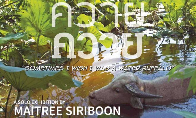 Kwai Kwai Kwai - Sometimes I wish I was a water buffalo - a solo exhibition by Maitree Siriboon 6.00pm 16 April 2022 at HEAD HIGH Second Floor