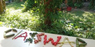 Hope! Don’t die yet; Mutual Aid Concert Hope! Don't die yet; Mutual Aid Concert ล็อกวันไว้เลย 3 มิถุนายนที่จะถึง ไม่มีค่าเข้า NoTicket ประตูเปิด 18.00 น. เริ่มแสดง 19.00 น. ที่ Paapu House