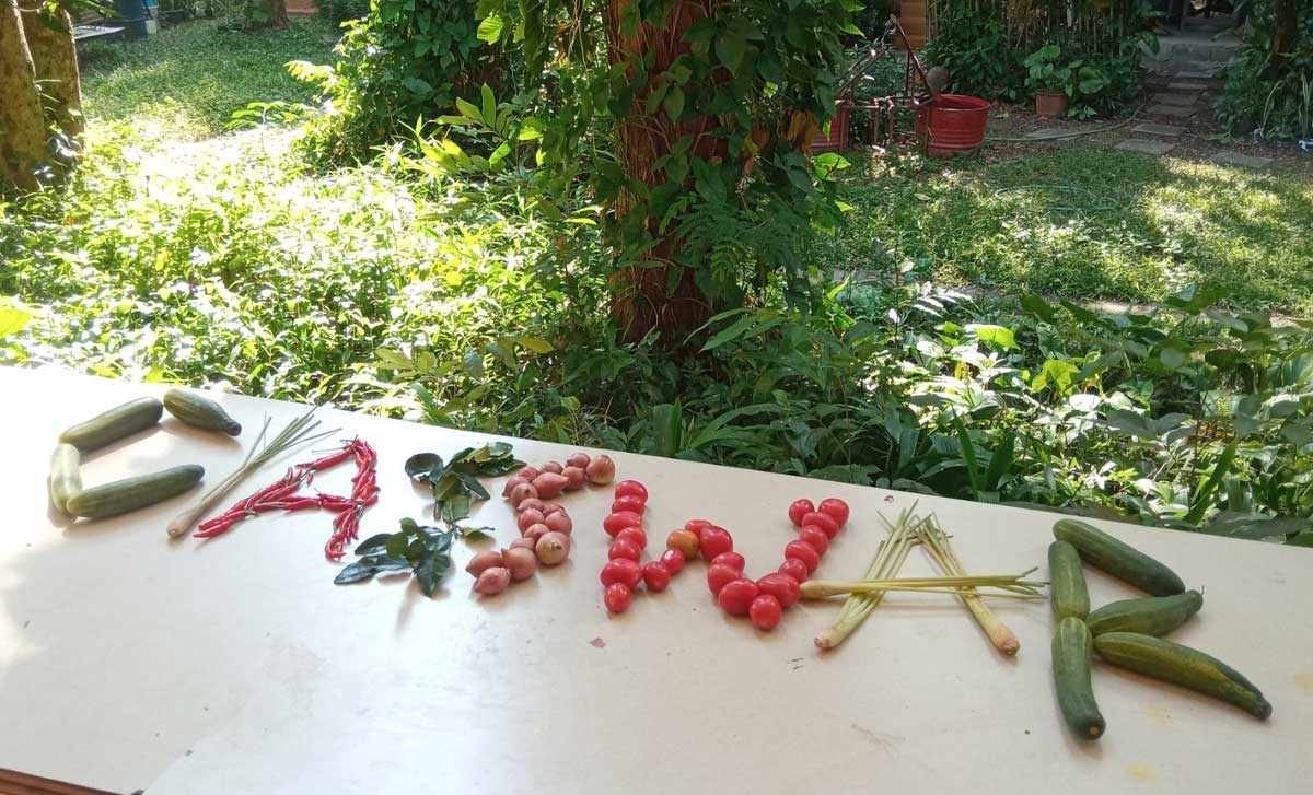 HOPE! DON’T DIE YET; MUTUAL AID CONCERT