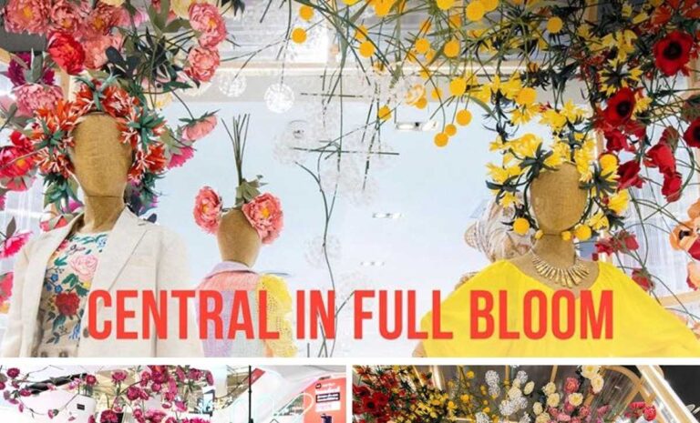 Central in Full Bloom ตั้งแต่ วันที่ 17 มิถุนายน 2565 - 30 กันยายน 2565 ที่เซ็นทรัล เฟสติวัลเชียงใหม่ ในงานจะมีการจัดดิสเพลย์ดอกไม้ออริกามb