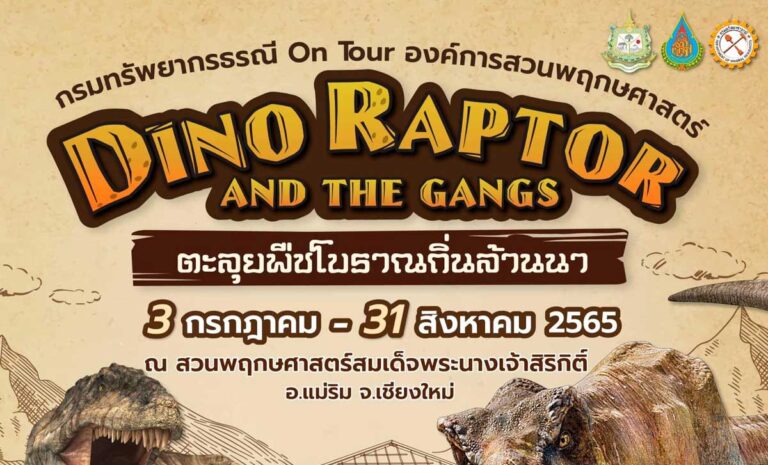 DINO RAPTOR AND THE GANGS ตะลุยพืชโบราณถิ่นล้านนา 3 กรกฏาคม - 31 สิงหาคม 2565 ณ สวนพฤกษศาสตร์สมเด็จพระนางเจ้าสิริกิติ์ อ.แม่ริม จ.เชียงใหม่