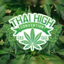 Thai High Convention 2022 10 - 11 ธันวาคม 2565 เวลา 15.00 น. - 22:45 ณ เชียงใหม่