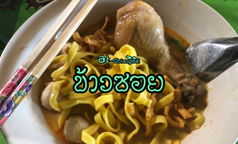 ข้าวซอย อาหารเหนือ ข้าวซอย คืออาหารพื้นเมืองทางภาคเหนือของประเทศไทย เดิมเรียกว่า "ก๋วยเตี๋ยวฮ่อ"เป็นอาหารที่ได้รับอิทธิพลมาจากชาวจีนยูนนาน