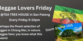 Reggae Lovers Friday @Tea Tree House in San Patong Reggae Lovers Friday @Tea Tree House in San Patong 2023