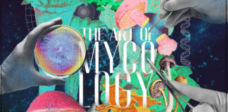 The Art of Mycology @ Chiang Mai The-Art-of-Mycology-@-Chiang-Mai-2023