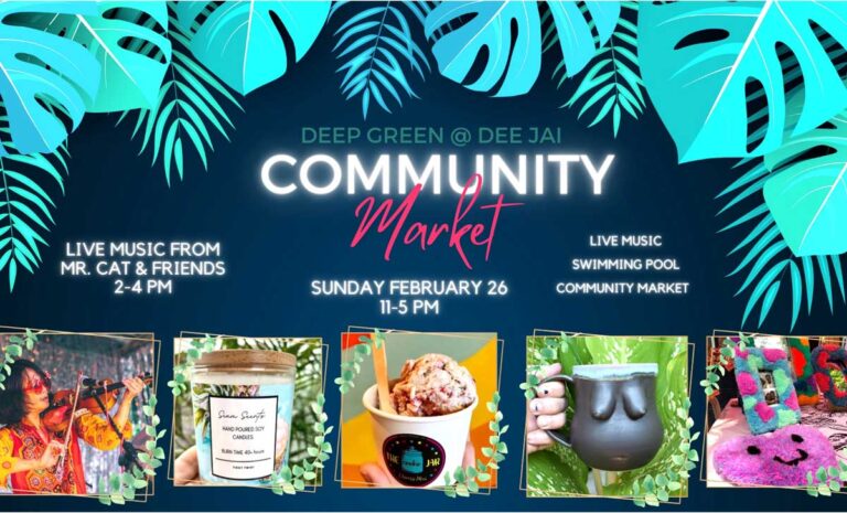Community Market & Pool Party ft Mr. Cat & Friends