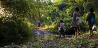 Deep Ecology Deep Ecology 2023