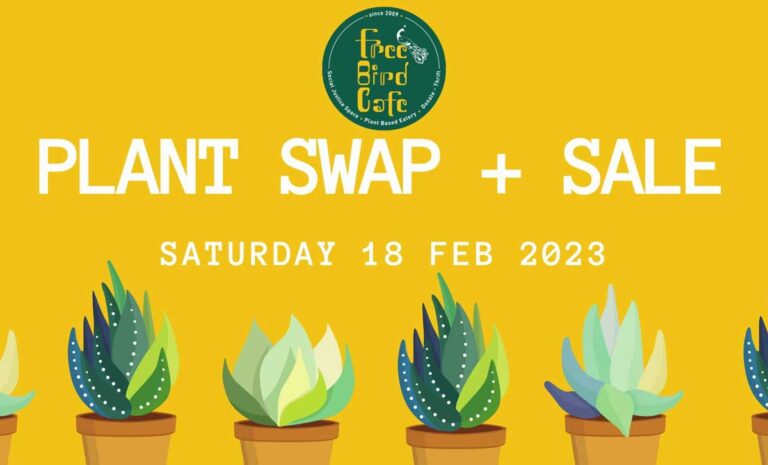 Plant Swap + Sale
