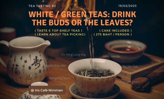 Tea tasting #2: White & Greens, drink the buds or the leaves?
