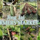จริงใจ FARMERS’MARKET ตลาดต้องชมเชียงใหม่