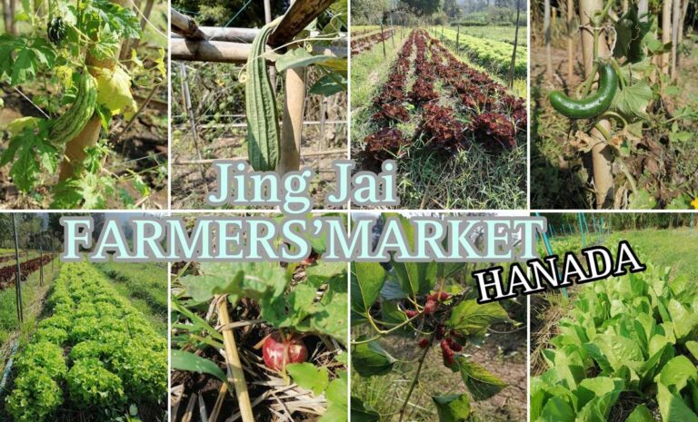 จริงใจ FARMERS’MARKET ตลาดต้องชมเชียงใหม่