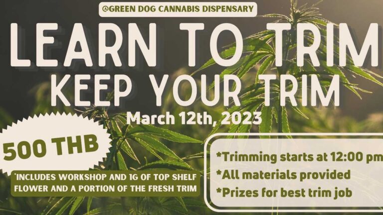 Learn to Trim