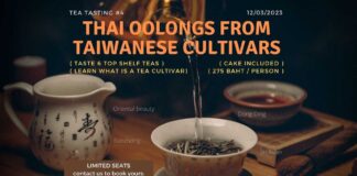 Tea tasting #4: Thai oolongs from Taiwanese cultivars Tea tasting #4: Thai oolongs from Taiwanese cultivars