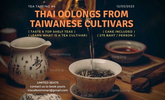 Tea tasting #4: Thai oolongs from Taiwanese cultivars