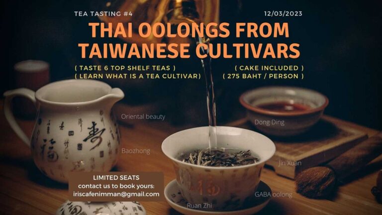 Tea tasting #4: Thai oolongs from Taiwanese cultivars