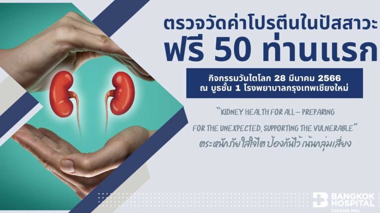 กิจกรรมวันไตโลก