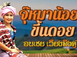 จุ๊หมาน้อยขึ้นดอย – วีระศักดิ์, อบเชย เวียงพิงค์ จุ๊หมาน้อยขึ้นดอย - วีระศักดิ์, อบเชย เวียงพิงค์