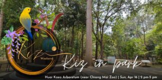 Kiz Weekend Kiz in park